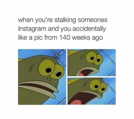 stalking_wonderlover